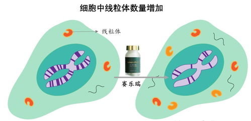 規劃150歲人生 生物科技拐點將至，國際資本已搶灘登陸
