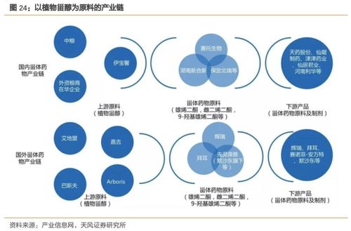 溢多利 專注研發創新的生物技術隱形冠軍，替抗業務迎來高增長